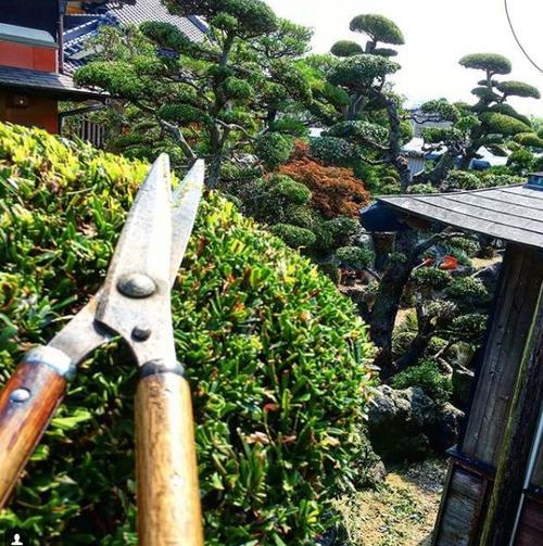 綠化工如何查詢(xún)真假
